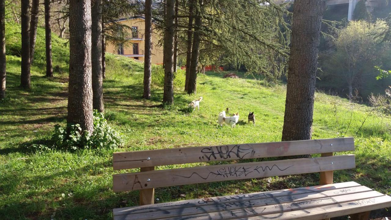 Villa Center appartamenti nel verde in città Campobasso Extérieur photo